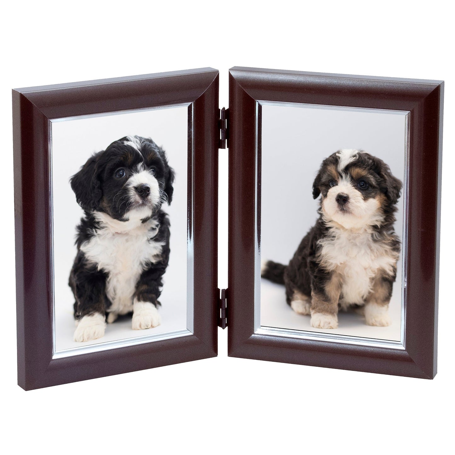 Two Fast Photo Frame Dual Picture Photo Frame - For 2 4x6